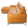 Loft- Feniks