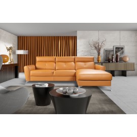 Loft- Feniks