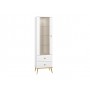 Witryna GOLDIN 02 - ML MEBLE